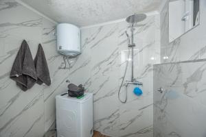 Koupelna v ubytování Studio Apartman Zlata