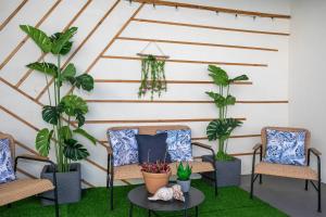 ポンタ・デルガダにあるGuestReady - Villa Islaの椅子と鉢植えの植物を備えた部屋 +32枚の写真