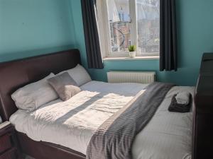 a bed in a blue room with a window at Double Rooms near Bournemouth Hospital ensuite or shared bathroom options in Bournemouth