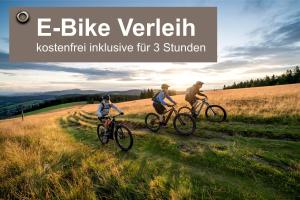 Rattasõit majutusasutuse Grüner Baum Naturparkhotel & Schwarzwald-Restaurant aladel või selle läheduses