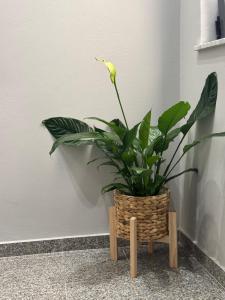 Fotografie z fotogalerie ubytování Hotel Tuyo v destinaci Tirana