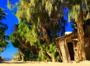 a building on the beach next to some trees at Heaven on Earth in Alexandria