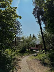 Příroda nedaleko penzionu – hostince