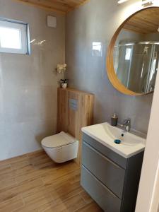 a bathroom with a toilet and a sink and a mirror at La Cabane Family in Rewal