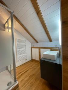 布格多夫Schlafen unterm Dach in Burgdorf CH的阁楼上带水槽的浴室