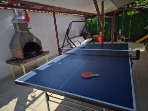 Stolní tenis v ubytování Vila Paun nebo okolí