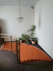 Fotografie z fotogalerie ubytování Apartmány Sedmikráska v destinaci Tehovec