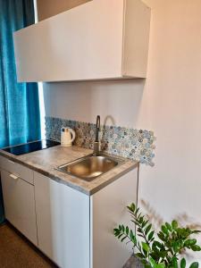 a small kitchen with a sink in a room at Marynarski z kuchnią i łazienką in Koszalin