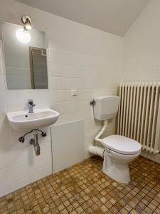 ein Badezimmer mit Toilette und Waschbecken in der Unterkunft kleine und charmante Monteurs Unterkunft C in Karlsruhe