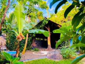 a house in the middle of a forest with trees at Elephant Lake Villa, Yoga & Meditation Sanctuary in Sigiriya