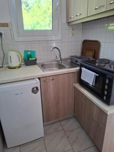una cucina con lavello e forno a microonde di Villa Nikitas a Párga