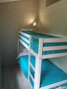 ein Schlafzimmer mit zwei Etagenbetten in einem Zimmer in der Unterkunft Hübsches Tiny Cottage Mit Waldblick Im Feriendorf in Mareuil-sur-Lay