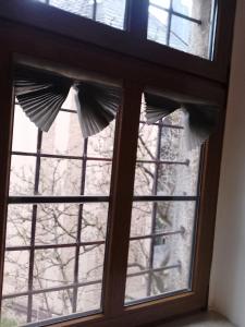 Fotografie z fotogalerie ubytování Zum Ritter Ferienwhg v destinaci Lengenfeld