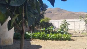 Φυσικό τοπίο κοντά σε αυτή η παραθεριστική κατοικία