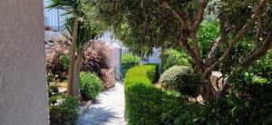 a garden with trees and bushes and a walkway at Hidden Gem with Sunset in the Aegean Sea, Two Traditional Homes in Ano Vathy, Samos in Vathý