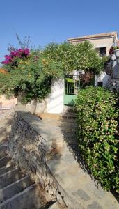 a house with a green door and some flowers at Hidden Gem with Sunset in the Aegean Sea, Two Traditional Homes in Ano Vathy, Samos in Vathý