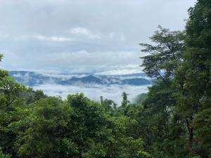 a view of a forest with clouds in the distance at อะบู้ศรีโฮมสเตย์ in Ban Huai Khai