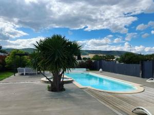a palm tree sitting next to a swimming pool at Villa la Gardiole in Vic-la-Gardiole