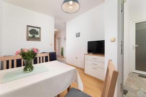 TV a/nebo společenská místnost v ubytování Elida