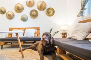 Posteľ alebo postele v izbe v ubytovaní KAHILOM Nest Self-Service Home in Rainforest Nest with Kitchen - Monkeys, Bats, Pet Friendly with a Fee
