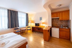 Kuchyň nebo kuchyňský kout v ubytování Hotel Pannonia