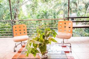 Balkón alebo terasa v ubytovaní KAHILOM Nest Self-Service Home in Rainforest Nest with Kitchen - Monkeys, Bats, Pet Friendly with a Fee