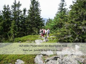 a group of people walking on a mountain trail at Hotel zur Linde - Bayerischer Wald - aktivCard mit 154 kostenfreien Leistungen - kostenloser Parkplatz in Lohberg