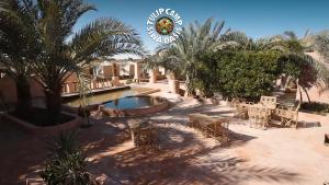 a resort with a pool and chairs and palm trees at Tulip Camp Siwa Oasis in Siwa