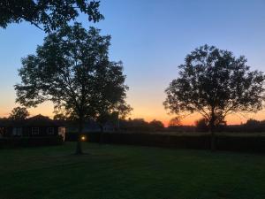 two trees in a field with the sunset in the background at 't Peelhuisje in Kronenberg