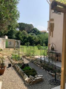a garden with some plants in a yard at U FARNIENTE in Patrimonio