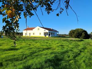 ein Haus inmitten eines Grasfeldes in der Unterkunft Villa das Oliveiras in Grândola