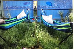 Jardí fora de Lazy Nest - Sleeps 4 Parking Garden & Hammocks 13 fotos més