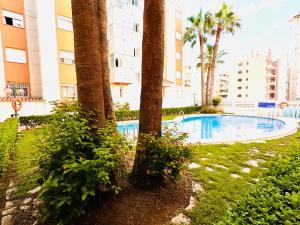 The swimming pool at or close to .Apartamento 1a linea de playa + piscina + parking DAIMUS