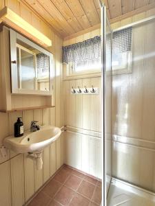 a bathroom with a sink and a shower at Cottage Yard - cozy Cabin in Geilo