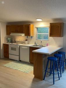 Η κουζίνα ή μικρή κουζίνα στο The Firefly Lodge at Shenandoah