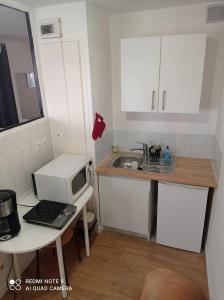 Kuchyňa alebo kuchynka v ubytovaní Studio charmant à Clermont-Ferrand, 31 m²