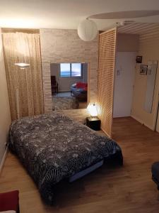 Posteľ alebo postele v izbe v ubytovaní Studio charmant à Clermont-Ferrand, 31 m² + 8 fotografií