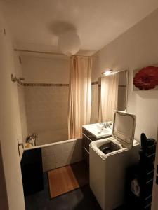 Kúpeľňa v ubytovaní Studio charmant à Clermont-Ferrand, 31 m²