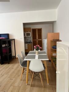 UbytkoMácháč 주방 또는 간이 주방
