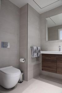 Un baño con inodoro, lavabo y espejo. en The Mercury Suite with pool, en San Julián 17 fotos más