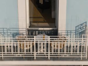 un gruppo di cani seduti in una staccionata bianca di Luxury Suites by Lato ad Ágios Nikólaos Altre 31 foto