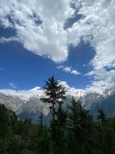 a tree on top of a mountain under a cloudy sky at Shanti Homestay in Kalpa +10 photos