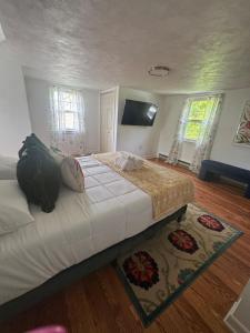 Fotografie z fotogalerie ubytování Cozy Home v destinaci New Britain