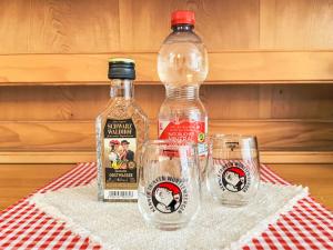 twee flessen alcohol en twee glazen op een tafel bij Apartment Sonnenmatt App- 12 by Interhome in Höchenschwand