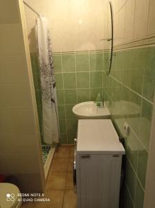 une petite salle de bain avec un lavabo et une douche dans l'établissement Krisjana Valdemara 39, à Daugavpils