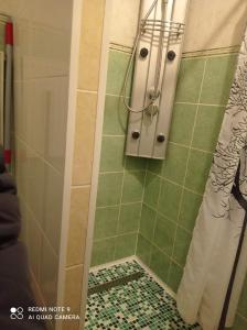 une douche dans une salle de bain avec du carrelage vert dans l'établissement Krisjana Valdemara 39, à Daugavpils