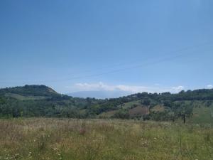 un campo d'erba con le montagne sullo sfondo di Zia Gabry a Vicoli