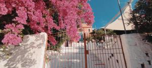 a fence with pink flowers on it next to a building at La casa Rosa 2 in Ponza