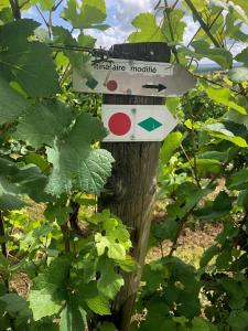 Majutusasutuses Gîte des Vignes à Viéville-sous-les-Côtes Escapade nature et patrimoine Meuse olev sertifikaat, autasu, silt või muu dokument