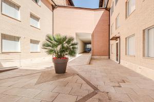 a plant in a pot on a sidewalk next to a building at Nuovo appartamento con posto auto privato a 5 min a piedi dal centro in Siena